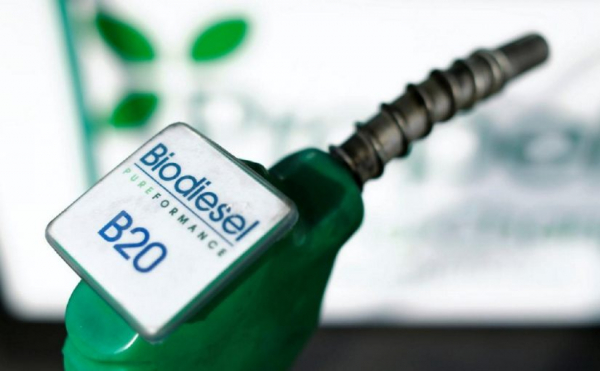Biodiesel local